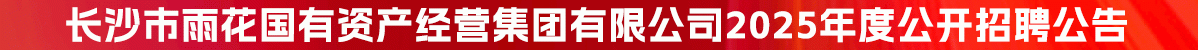 长沙市雨花国有资产经营集团有限公司2025年度公开招聘公告